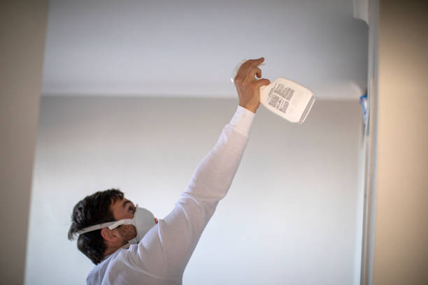 Best Industrial Mold Remediation in Charleston, WV