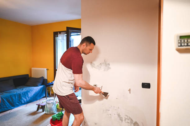 Professional Mold Remediation in Charleston, WV